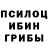 Галлюциногенные грибы GOLDEN TEACHER koboldich