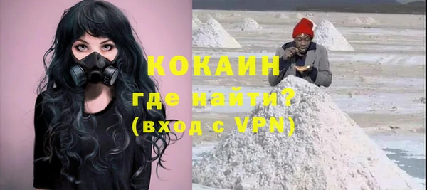 прущие грибы Белокуриха