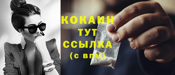 прущие грибы Белокуриха