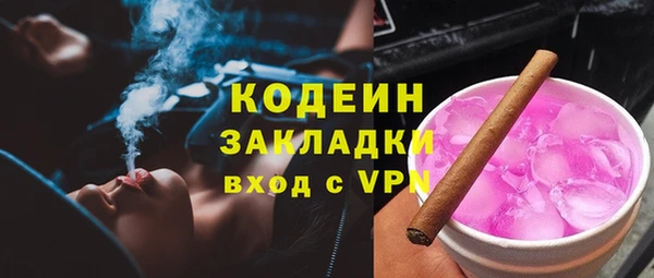 прущие грибы Белокуриха