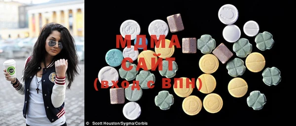 прущие грибы Белокуриха