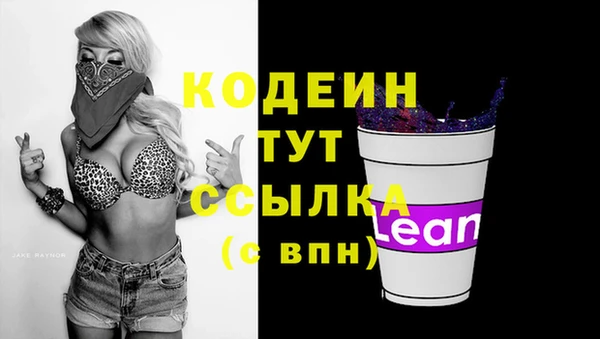 прущие грибы Белокуриха