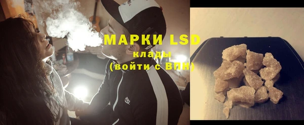 прущие грибы Белокуриха