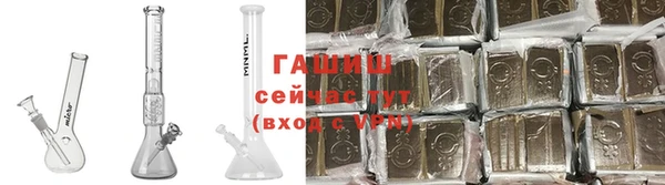 прущие грибы Белокуриха