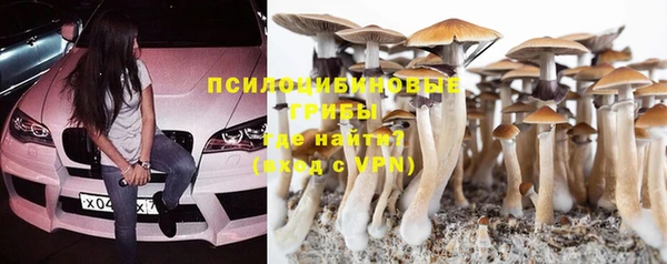 a pvp Белоозёрский