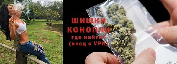 прущие грибы Белокуриха