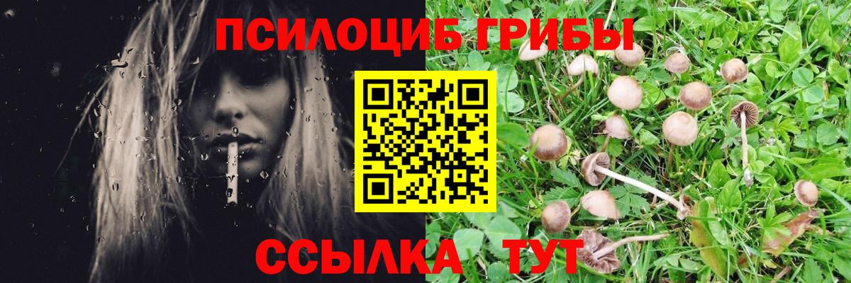 Псилоцибиновые грибы MAGIC MUSHROOMS Саяногорск