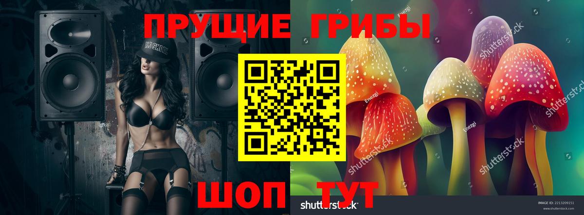 Саяногорск  Галлюциногенные грибы Psilocybe  Вход с VPN  Галлюциногенные грибы прущие грибы 